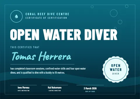 Deep Blue Open Water Diver