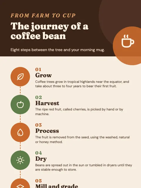 Coffee Farm to Cup