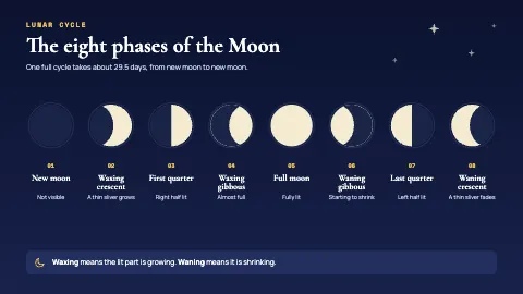 Moon Phases Eight Stages