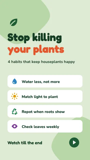 Houseplant Care Tips Short