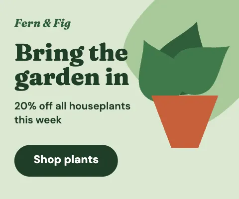 Plant Shop Rectangle