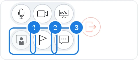The meeting controls with Present, Raise hand and Text chat marked