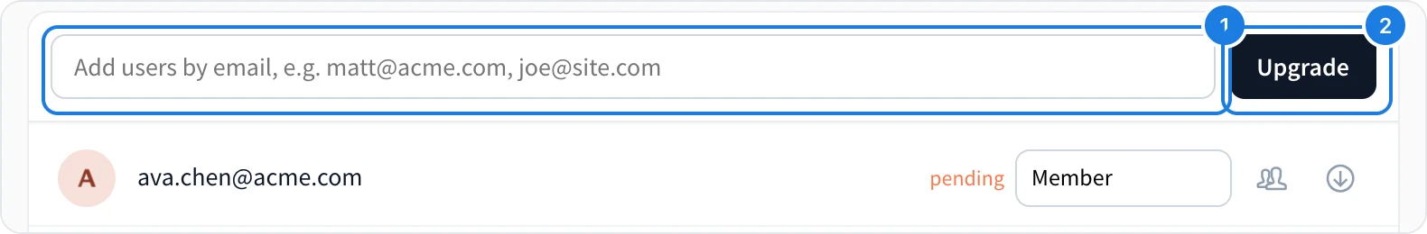 The email field and the Upgrade button in User licenses