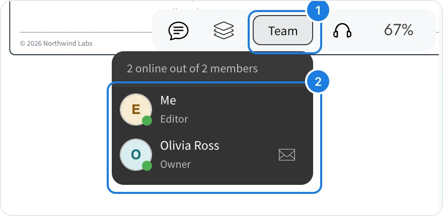 Team in the top bar and the list of members who are online